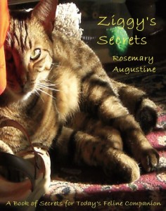 Ziggy's Secrets - Front Cover Final.