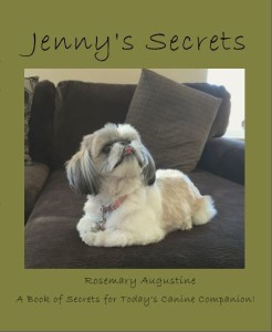 Jenny's Secrets - Front Cover.